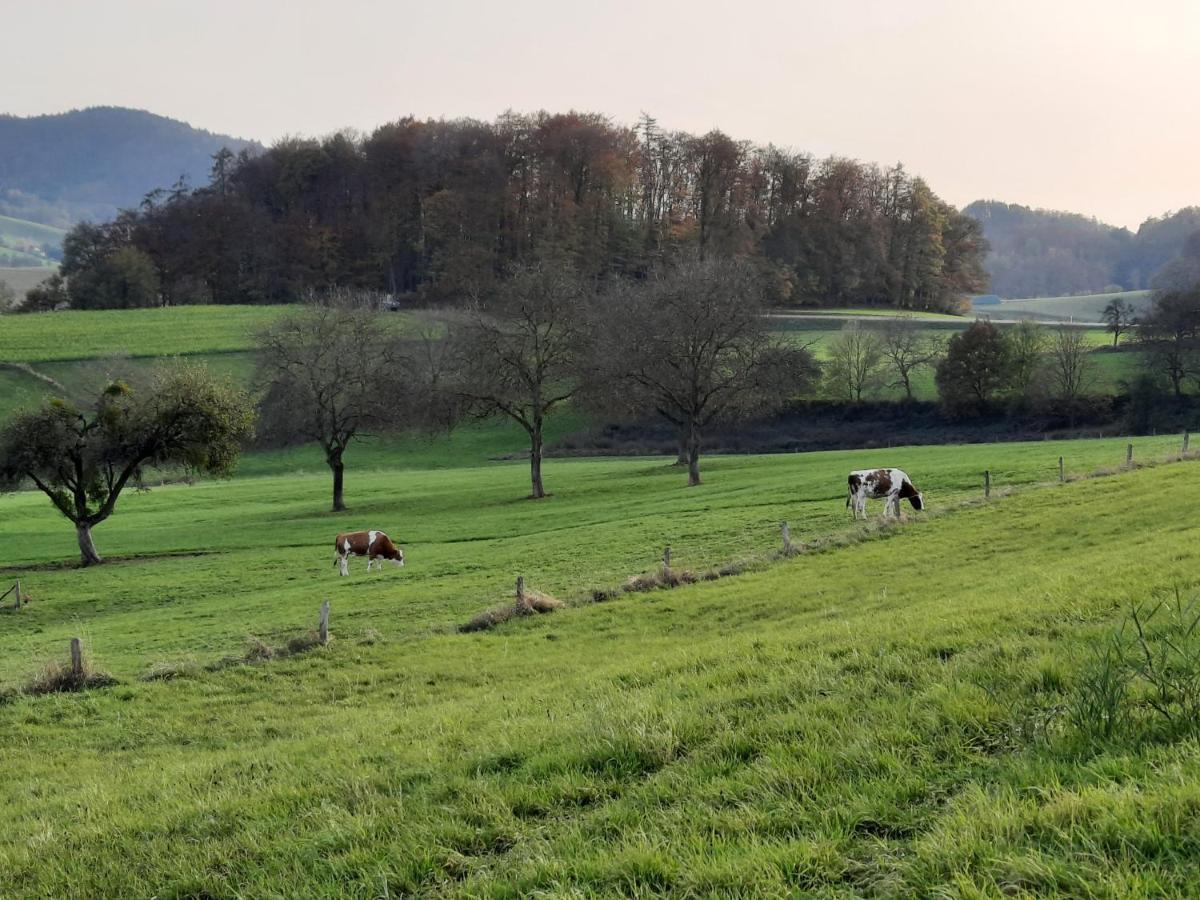 Ferienwohnung Odenwaldflair Reichelsheim Esterno foto