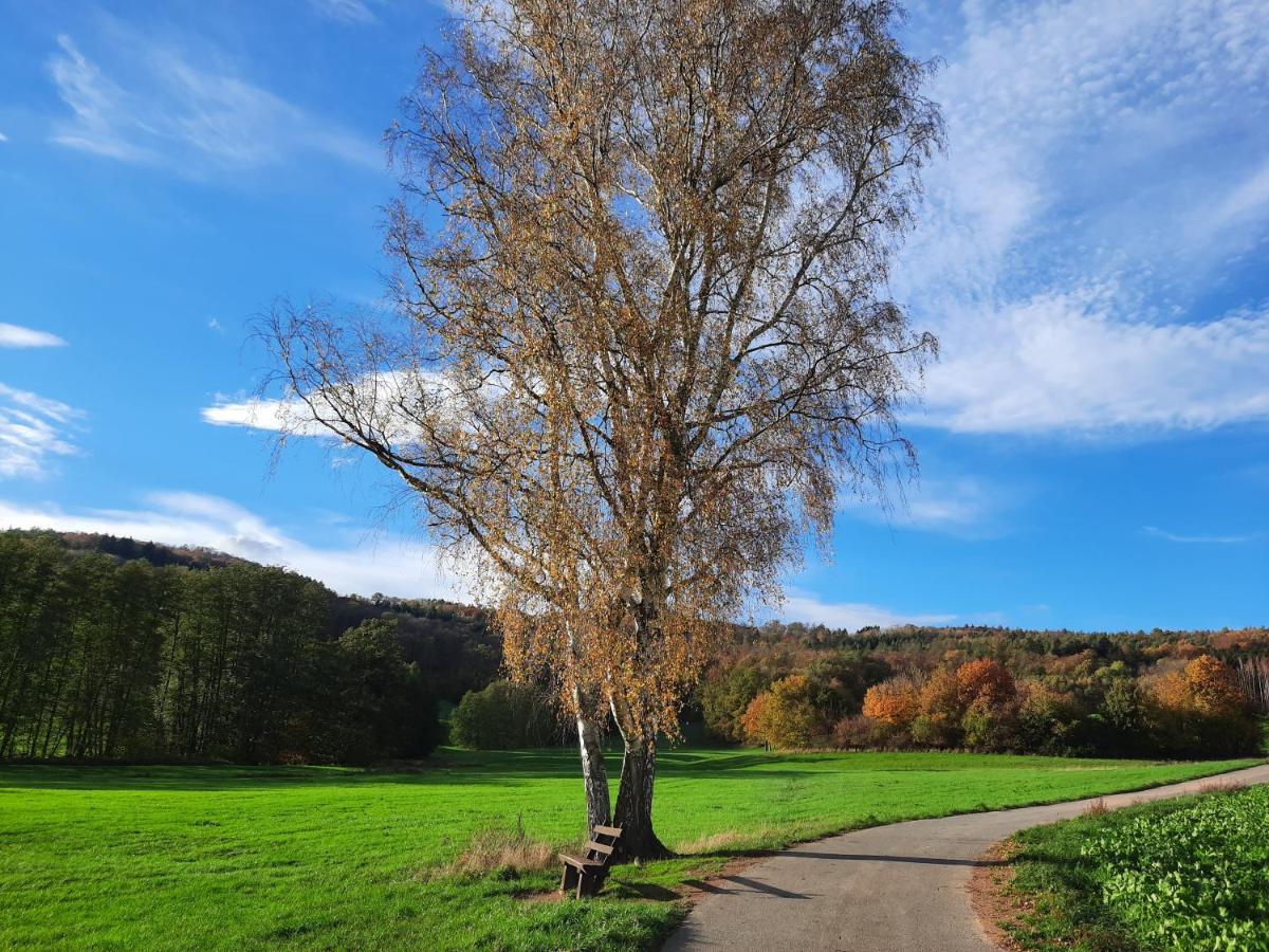 Ferienwohnung Odenwaldflair Reichelsheim Esterno foto